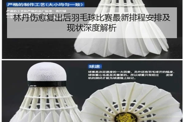lin-dan-shang-yu-fu-chu-hou-yu-mao-qiu-bi-sai-zui-xin-pai-cheng-an-pai-ji-xian-zhuang-shen-du-jie-xi-2-554.jpg